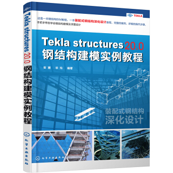 Tekla Structures 20.0 鋼結構建模實例教程 pdf epub mobi 電子書 下載