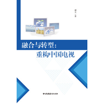 融閤與轉型:重構中國電視