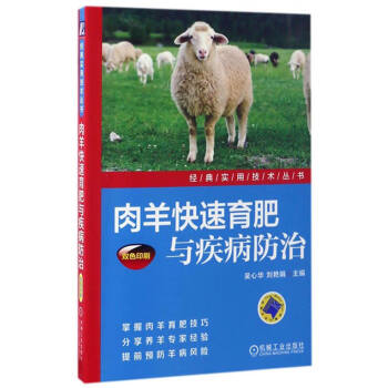 经典实用技术丛书：肉羊快速育肥与疾病防治（双色印刷） pdf epub mobi 电子书 下载
