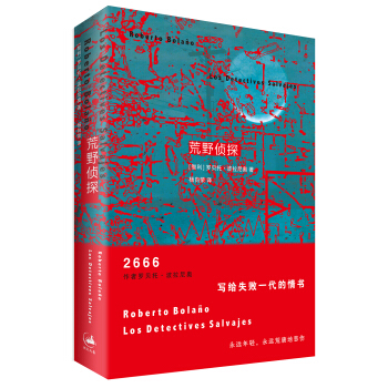 荒野侦探 pdf epub mobi 电子书 下载