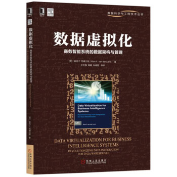 数据虚拟化：商务智能系统的数据架构与管理 pdf epub mobi 电子书 下载
