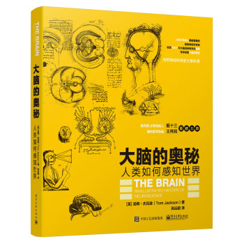 大腦的奧秘：人類如何感知世界 pdf epub mobi 電子書 下載