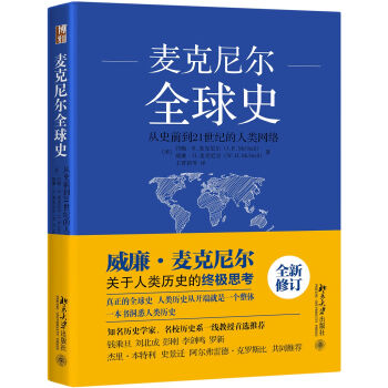 全球史：从史前到21世纪的人类网络 pdf epub mobi 电子书 下载