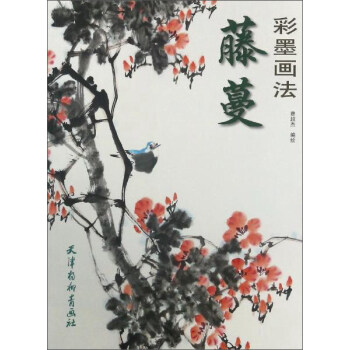 藤蔓彩墨画法 pdf epub mobi 电子书 下载