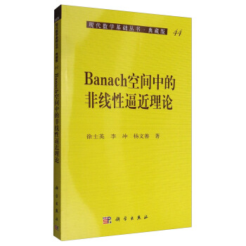 現代數學基礎叢書·典藏版44：Banach空間中的非綫性逼近理論 pdf epub mobi 電子書 下載