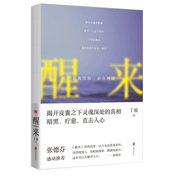 醒來：凡真實的，必會相遇 pdf epub mobi 電子書 下載
