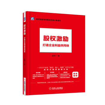 股权激励：打造企业利益共同体 pdf epub mobi 电子书 下载