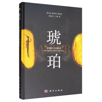 琥珀：穿越时空的精灵 pdf epub mobi 电子书 下载