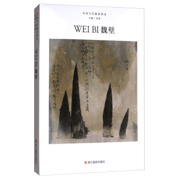 魏壁/中國當代攝影圖錄 pdf epub mobi 電子書 下載