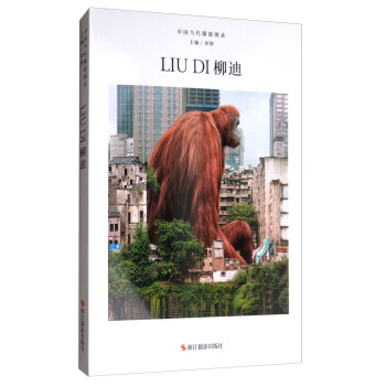 柳迪/中國當代攝影圖錄 pdf epub mobi 電子書 下載