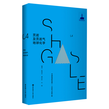 页岩及页岩气地球化学 pdf epub mobi 电子书 下载