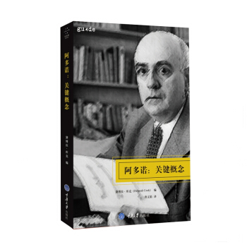 阿多诺:关键概念