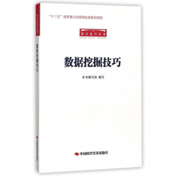 数据挖掘技巧/审计技巧丛书