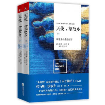 天使，望故乡：被埋葬的生活故事（套装上下册） pdf epub mobi 电子书 下载