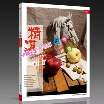 2017新书 精湛 素描静物照片 主题教学系列丛书孔祥涛周洪河 pdf epub mobi 电子书 下载