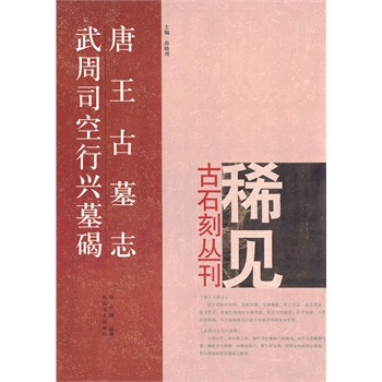 稀见古石刻丛刊：唐王古墓志 武周司空行兴墓碣 pdf epub mobi 电子书 下载