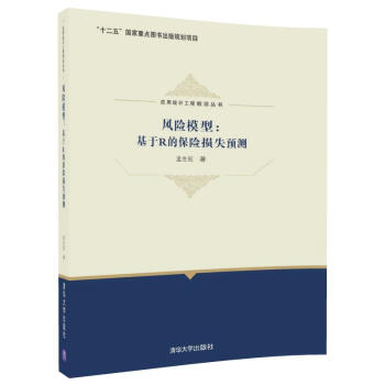 风险模型：基于R的保险损失预测/应用统计工程前沿丛书 pdf epub mobi 电子书 下载