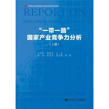 “一带一路”国家产业竞争力分析（全2册） pdf epub mobi 电子书 下载