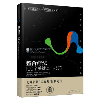 心理咨询与治疗译丛-整合疗法：100个关键点与技巧 pdf epub mobi 电子书 下载