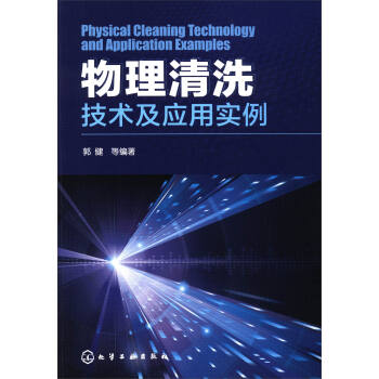 物理清洗技术及应用实例 [Physical Cleaning Technology and Application Examples] pdf epub mobi 电子书 下载