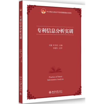 专利信息分析实训 pdf epub mobi 电子书 下载
