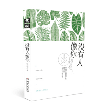 沒有人像你 pdf epub mobi 電子書 下載