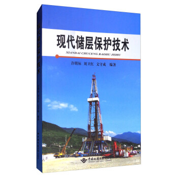 现代储层保护技术 pdf epub mobi 电子书 下载
