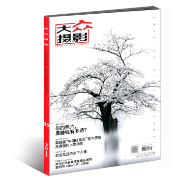 大眾攝影雜誌2017年5月 你的照片離賺錢有多遠 pdf epub mobi 電子書 下載