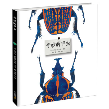 奇妙的甲虫 [3-10岁] pdf epub mobi 电子书 下载