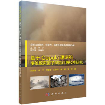 基于Copula理论的多维致灾因子风险评估技术研究 pdf epub mobi 电子书 下载