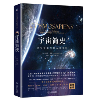 宇宙簡史：從宇宙誕生到人類文明 pdf epub mobi 電子書 下載