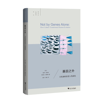基因之外:文化如何改变人类演化/跨学科社会科学译丛