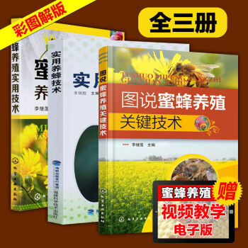 正版 实用养蜂技术3册 图说蜜蜂养殖关键技术 中蜂意蜂养殖书籍大全 蜜蜂养殖