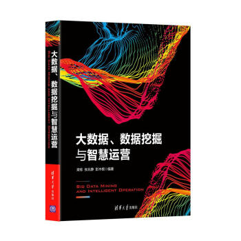 大数据、数据挖掘与智慧运营 pdf epub mobi 电子书 下载