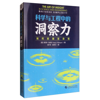 科學與工程中的洞察力：如何把握復雜性 [The Art of Insight in Science and Engineering Mastering Complexity] pdf epub mobi 電子書 下載