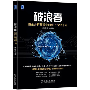 破浪者：白金分析師眼中的電子行業十年 pdf epub mobi 電子書 下載