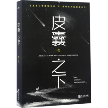 皮囊之下 pdf epub mobi 电子书 下载