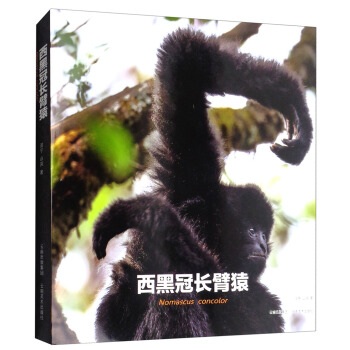 西黑冠长臂猿 [Nomascus Concolor] pdf epub mobi 电子书 下载