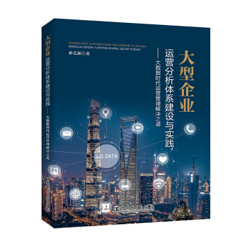 大型企業運營分析體係建設與實踐 ——大數據時代運營管理解決之道 pdf epub mobi 電子書 下載