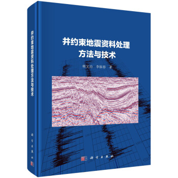 井约束地震资料处理方法与技术 pdf epub mobi 电子书 下载