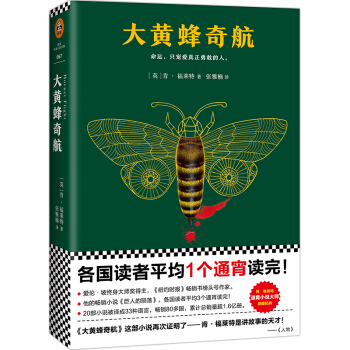 肯·福莱特悬疑经典:大黄蜂奇航