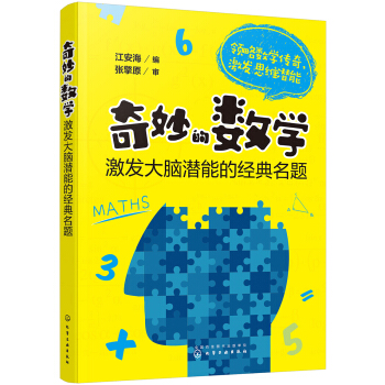 奇妙的数学：激发大脑潜能的经典名题 pdf epub mobi 电子书 下载