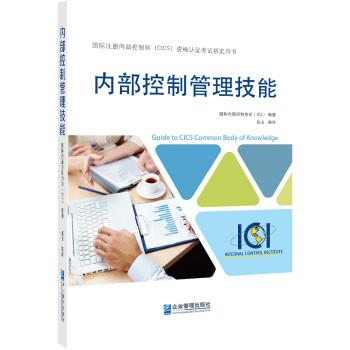 内部控制管理技能 pdf epub mobi 电子书 下载