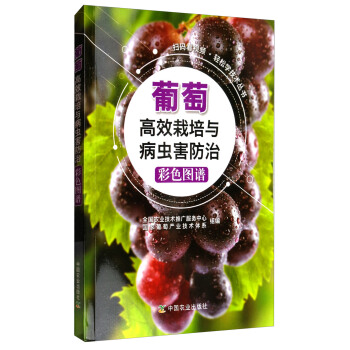 掃碼看視頻輕鬆學技術叢書：葡萄高效栽培與病蟲害防治彩色圖譜 pdf epub mobi 電子書 下載