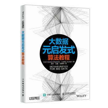 大數據元啓發式算法教程 pdf epub mobi 電子書 下載