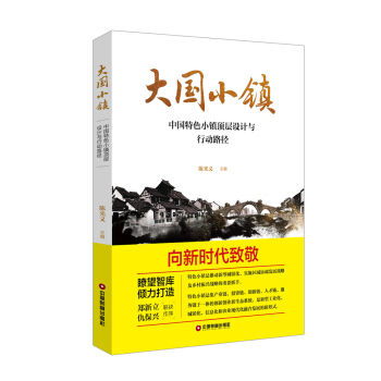 大国小镇：中国特色小镇顶层设计与行动路径 pdf epub mobi 电子书 下载