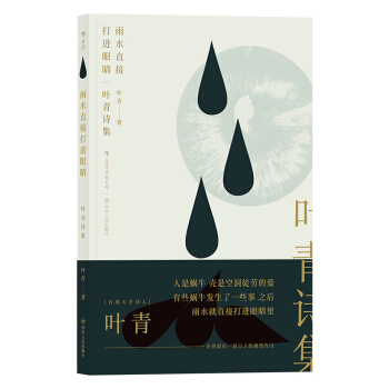 雨水直接打進眼睛:葉青詩集