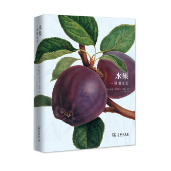 水果：一部图文史 pdf epub mobi 电子书 下载