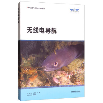 无线电导航/航线运输飞行员理论培训教材 pdf epub mobi 电子书 下载