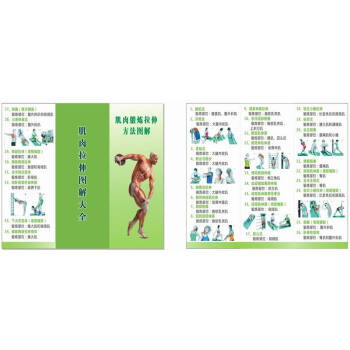 肌肉拉伸圖解大全 摺疊頁 贈品 非賣品 pdf epub mobi 電子書 下載